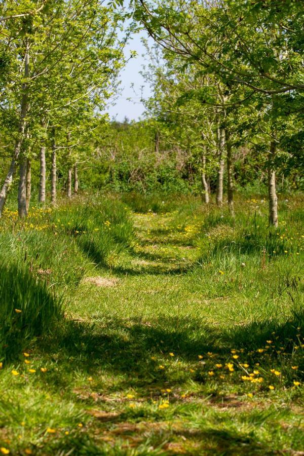 Ty Pren Bach Villa Maenclochog Kültér fotó
