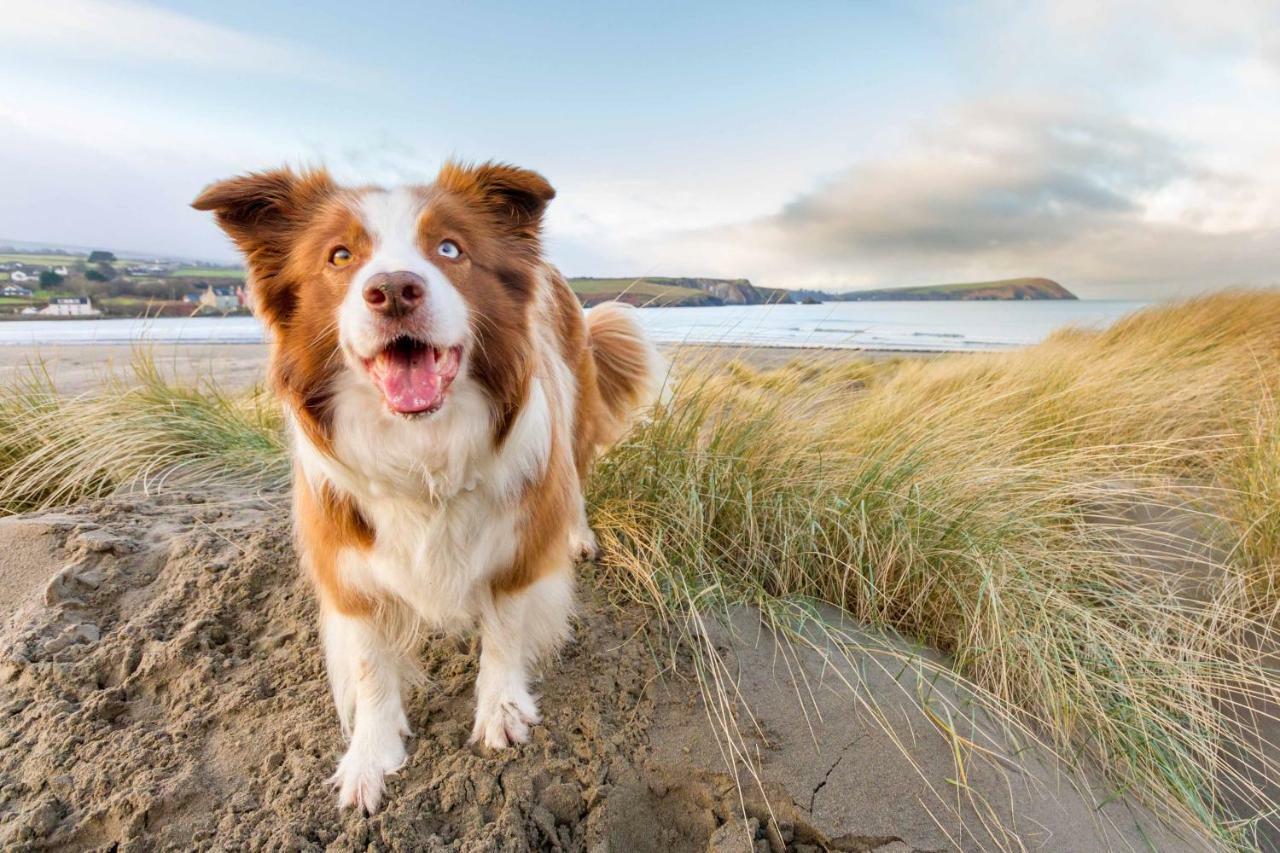 Ty Pren Bach Villa Maenclochog Kültér fotó